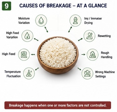 Root causes of rice kernel breakage