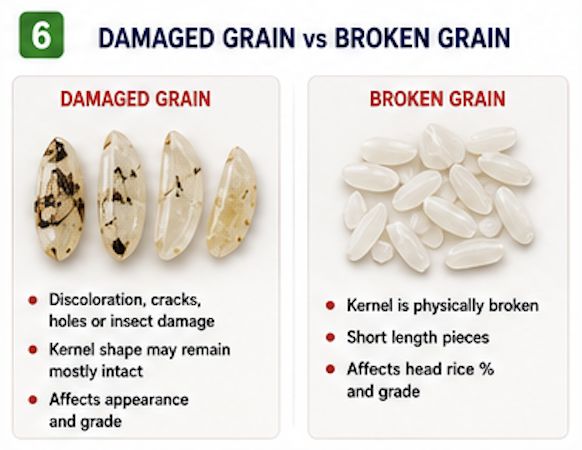 Damaged Grain vs Broken Grain