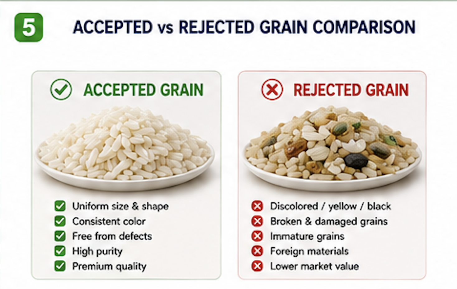 Accepted vs Rejected Grain Comparison