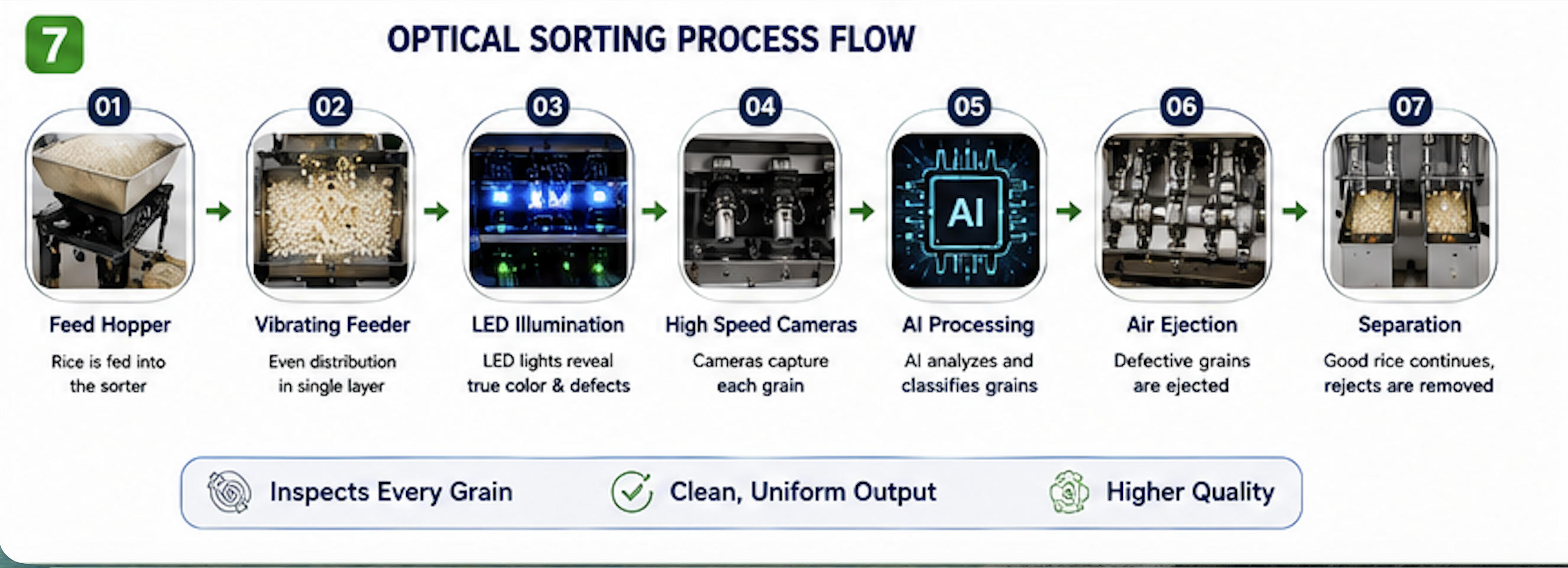 Optical Sorting Process Flow