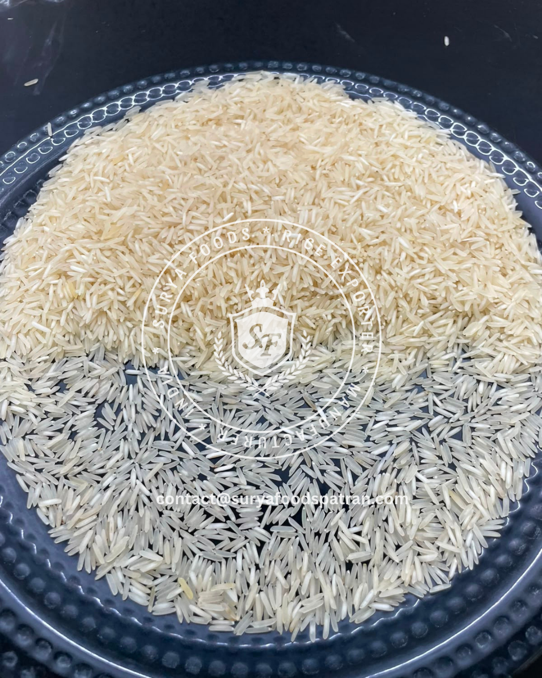 048 XXXL SUPREME rice grain close-up 3