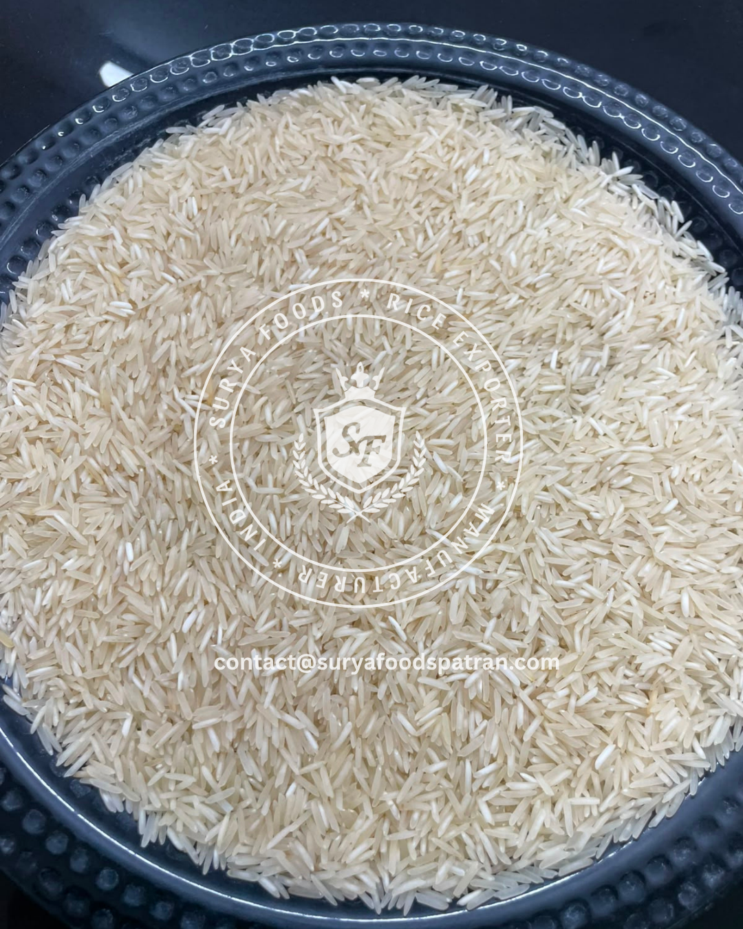 048 DUBAR DELIGHT rice grain close-up 2